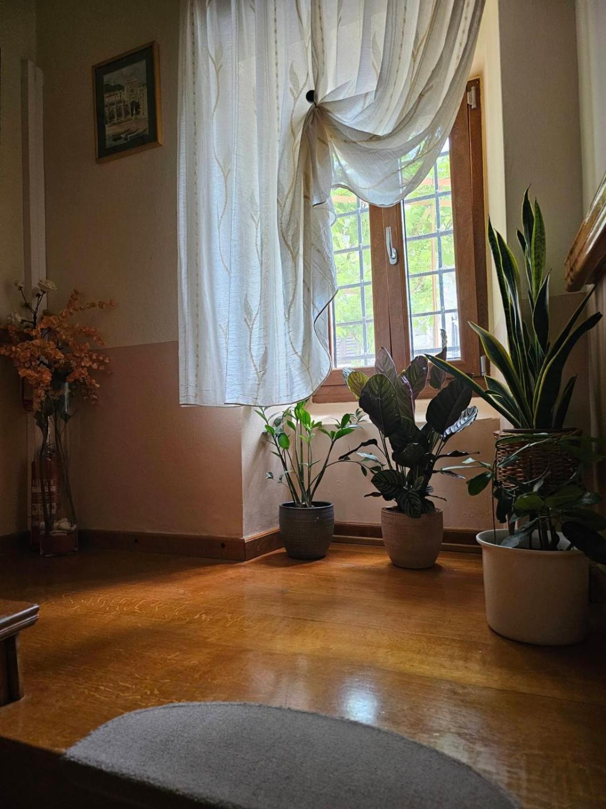 מוטובון Guesthouse Villa Marija מראה חיצוני תמונה